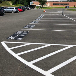 IMG 8208 263x263 - Line Striping