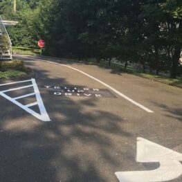 IMG 2113 263x263 - Line Striping