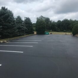 IMG 5204 263x263 - Sealcoating